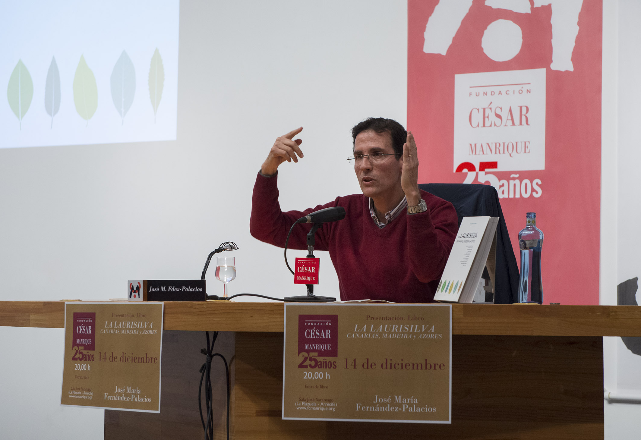 Fernández-Palacios: «La laurisilva es el ecosistema más importante de Canarias»