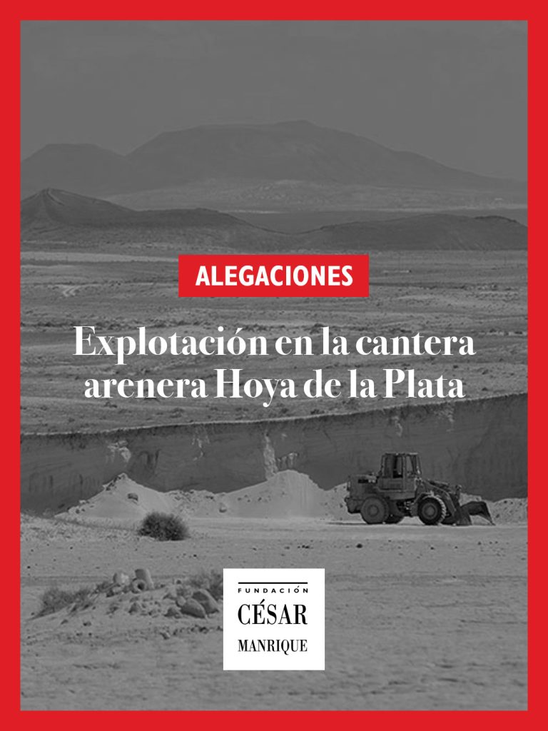 Alegaciones de la FCM a la explotación en la cantera arenera Hoya de la Plata (El Jable)